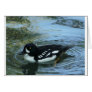 Barrows goldeneye card