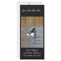Barrow's Goldeneye Drake Custom Rack Cards