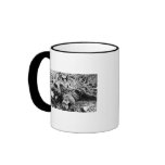Barr's Bear Over 10 Foot Long, Alaska Coffee Mugs