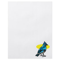Barry Blue Jay Personalized Flyer