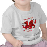 Barry Welsh Dragon CAB T-shirt