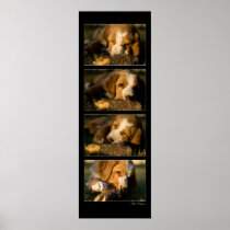 Bart Posters