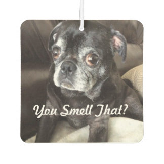 pug air freshener black pug gifts on zazzle pug air freshener black pug gifts on zazzle