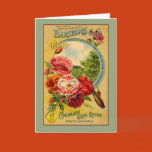 seeds, seed packet, seed packet art, seed packet