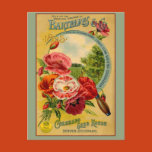 seeds, seed packet, seed packet art, seed packet