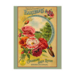 seeds, seed packet, seed packet art, seed packet