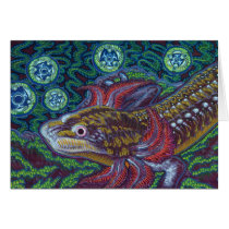 Barton Springs Salamander (Eurycea sosorum) cards