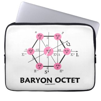 Baryon Octet (Particle Physics) Computer Sleeves