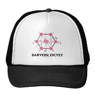 Baryon Octet (Particle Physics) Hats