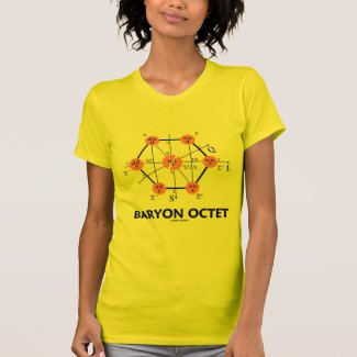 Baryon Octet (Particle Physics) T-shirt