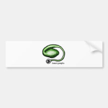 Basal Ganglia Bumper Sticker