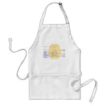 base of brain picture english apron