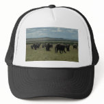 Baseball  Cap- African Wildlife Trucker Hat
