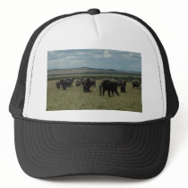 Baseball  Cap- African Wildlife hats