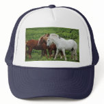 Baseball Cap Trucker Hat