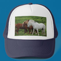 Baseball Cap hats