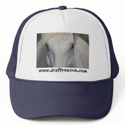 Baseball Cap Trucker Hats by 1drafthorse