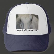 Baseball Cap hats
