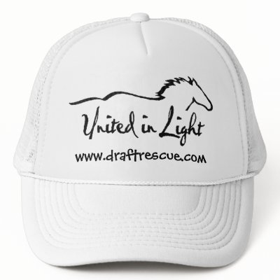 Baseball Cap Trucker Hat by 1drafthorse