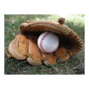 Baseball Dreams Framed Photo posters by VicsExoticPhotos Baseball Dreams Framed Photo posters