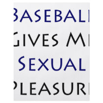 Baseball Gives Me Sexual Pleasure Full Color Flyer