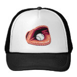 Baseball Glove and Ball Hat