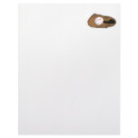 Baseball Glove &amp; Ball Customized Letterhead