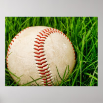 Baseball in the Summer Grass Posters