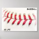 Baseball is Life Poster