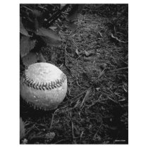 Baseball Letterhead