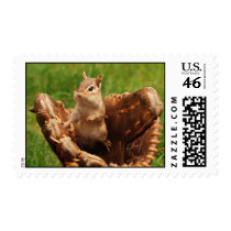 Baseball Loving Chipmunk Postage