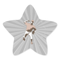 baseball player throwing vector graphic star stickers