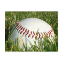 Baseball postcard