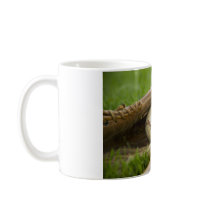 BASEBALL SEASON mugs