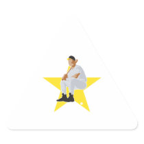baseball star vector design triangle stickers