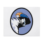 baseball throw pitcher  vector illustration flyers