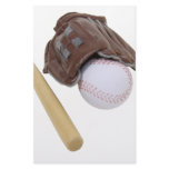 BaseballAndGlove062509 Stationery Design