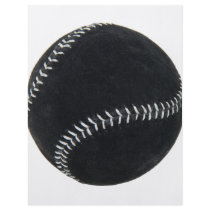 BaseballSingle062509 Custom Flyer