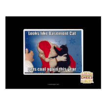 Basement Cat gets coal Post Card