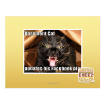 Basement Cat Postcard