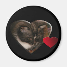 Basement Kitty Love Magnets