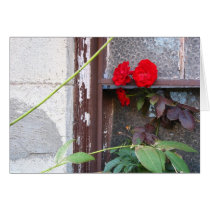 Basement Roses cards by litabug Basement Roses cards