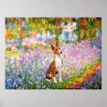 Basenji 2 - Garden Posters