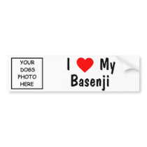 Basenji Bumper Stickers