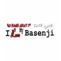 Basenji Lovers Gifts shirt