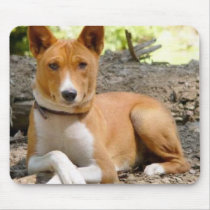 Basenji Mousepad mousepads