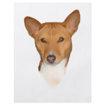 Basenji Portrait Full Color Flyer