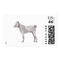 Basenji Stamps