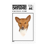 Basenji Postage Stamp