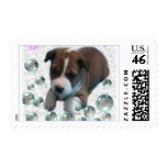 Basenji Pup Postage